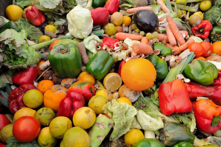 FOOD WASTE & SURPLUS