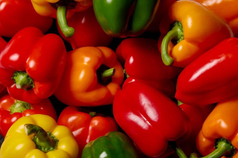 HEALTHY & SUSTAINABLE DIETS